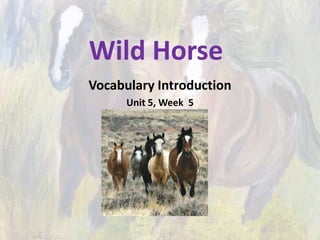 Wild Horse Vocabulary Introduction Unit 5, Week  5 