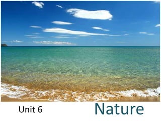 Unit 6 Nature 