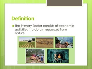 Definition
 The Primary Sector consists of economic
activities tha obtain resources from
nature.
 