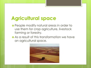 Agricultural space
 People modify natural areas in order to
use them for crop agriculture, livestock
farming or forestry....