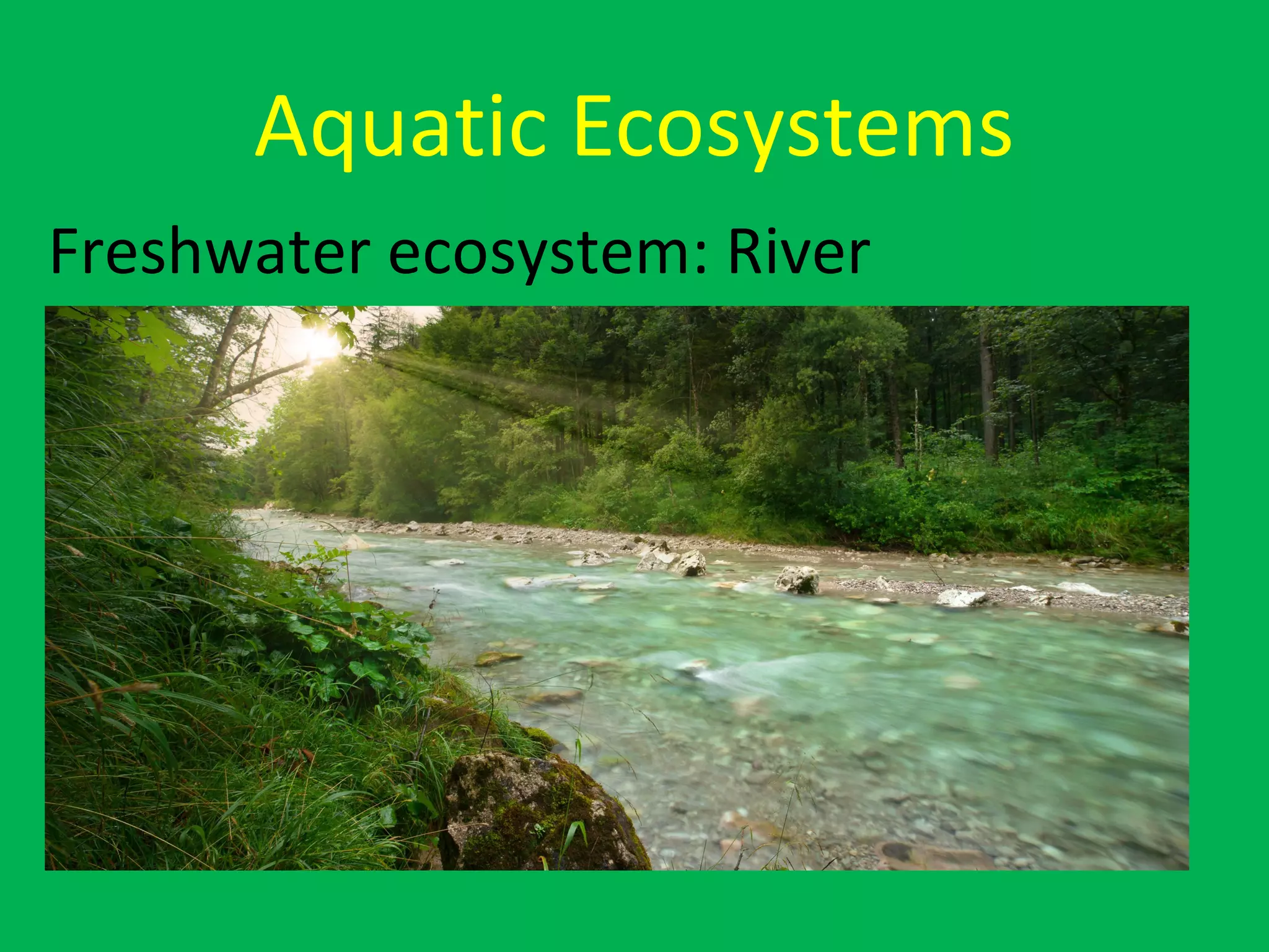 Aquatic Ecosystems
Freshwater ecosystem: River