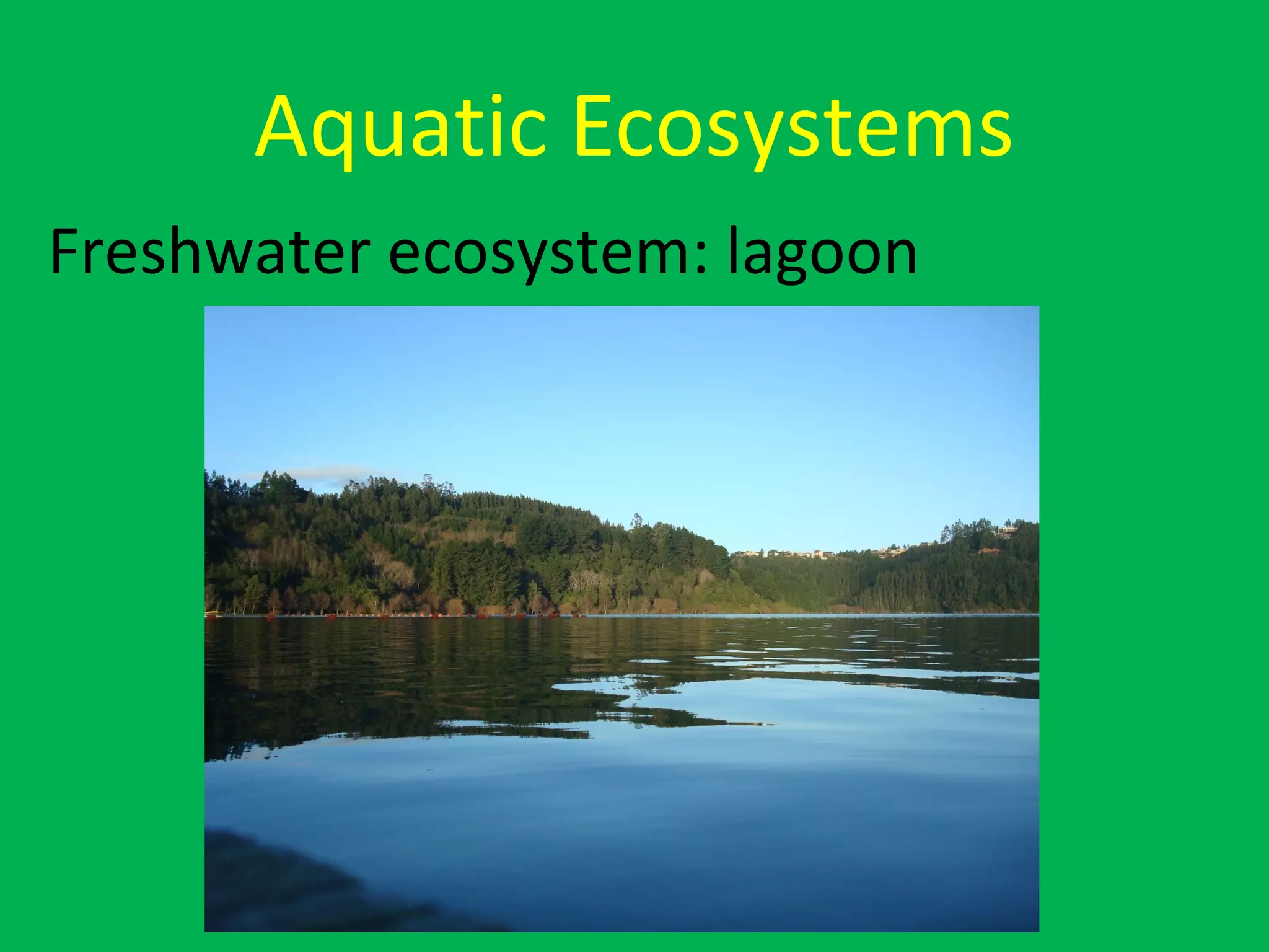 Aquatic Ecosystems
Freshwater ecosystem: lagoon