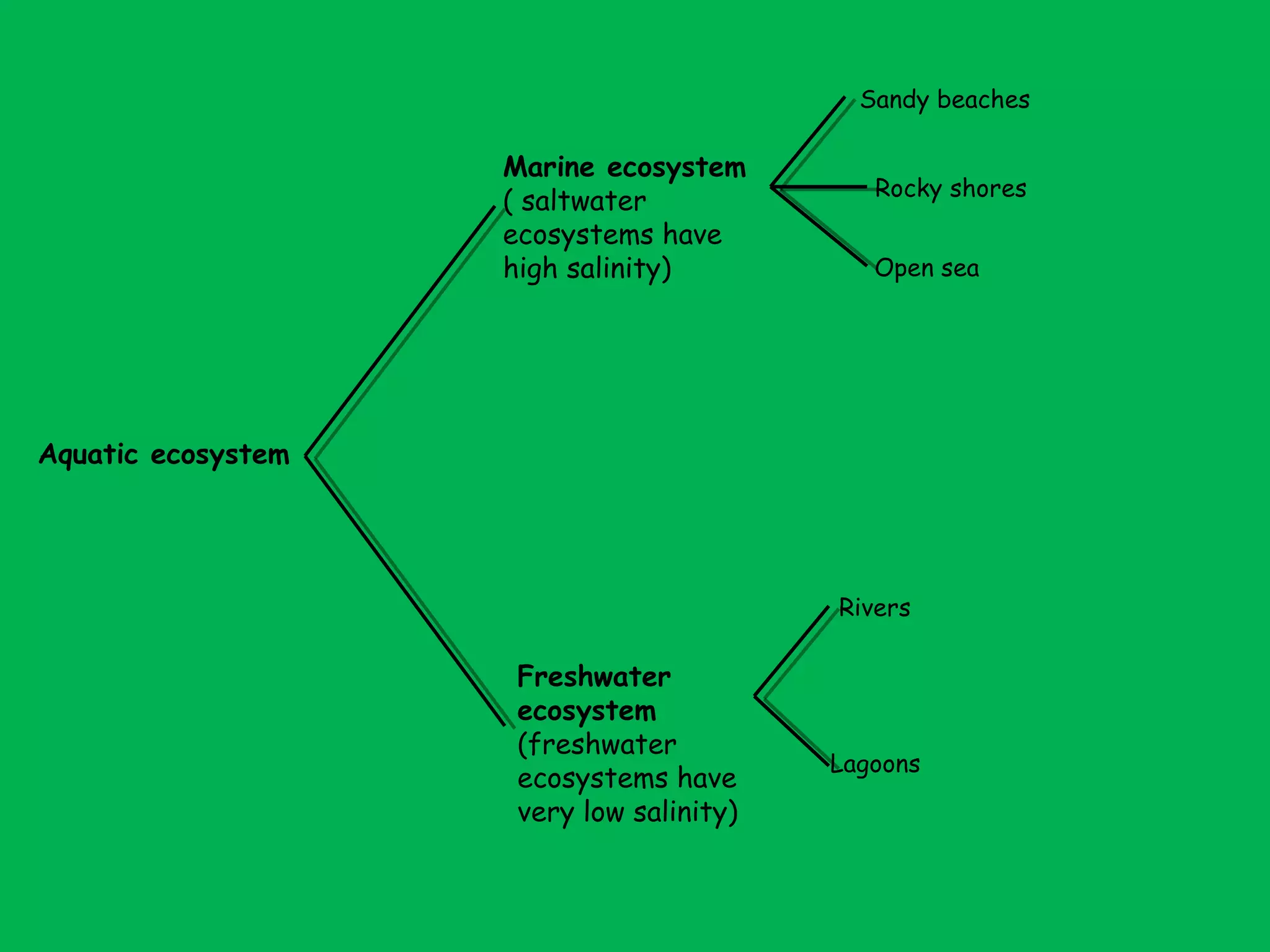 Aquatic ecosystem
Marine ecosystem
( saltwater
ecosystems have
high salinity)
Freshwater
ecosystem
(freshwater
ecosystems have
very low salinity)
Sandy beaches
Rocky shores
Open sea
Rivers
Lagoons