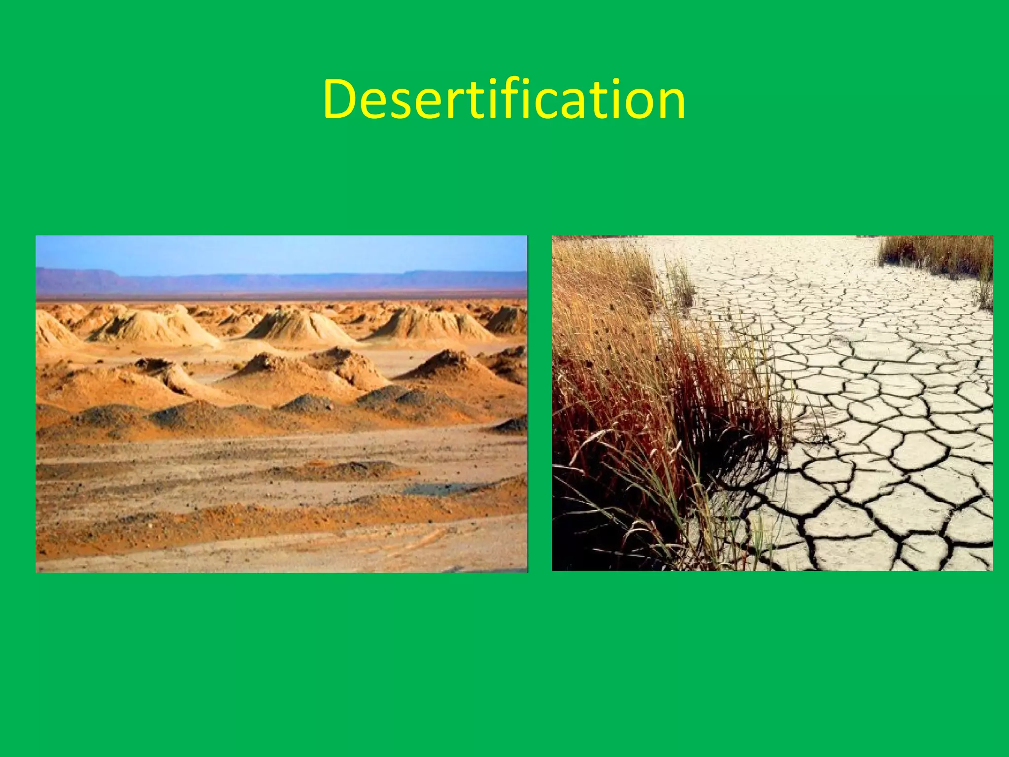 Desertification