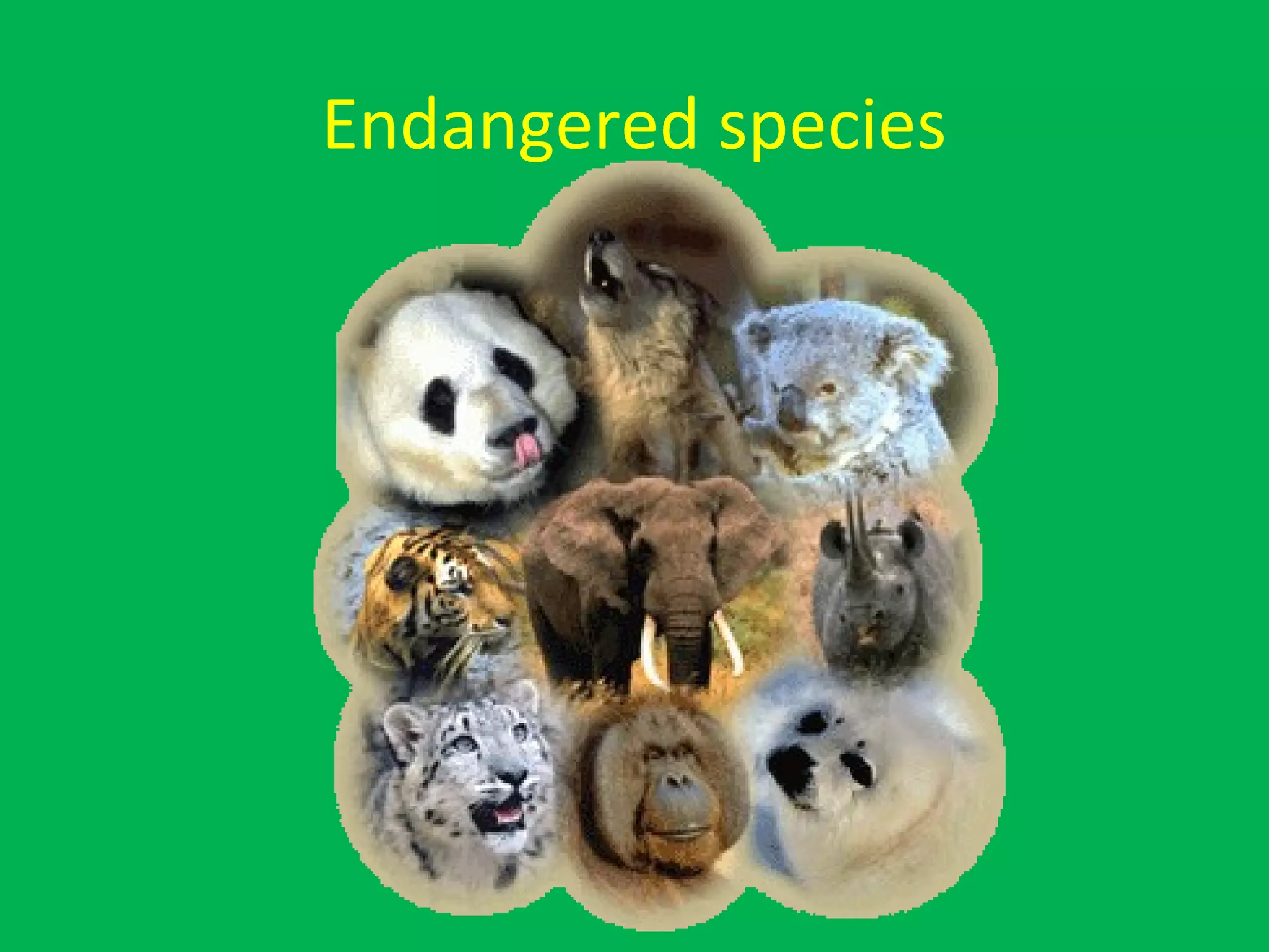 Endangered species
