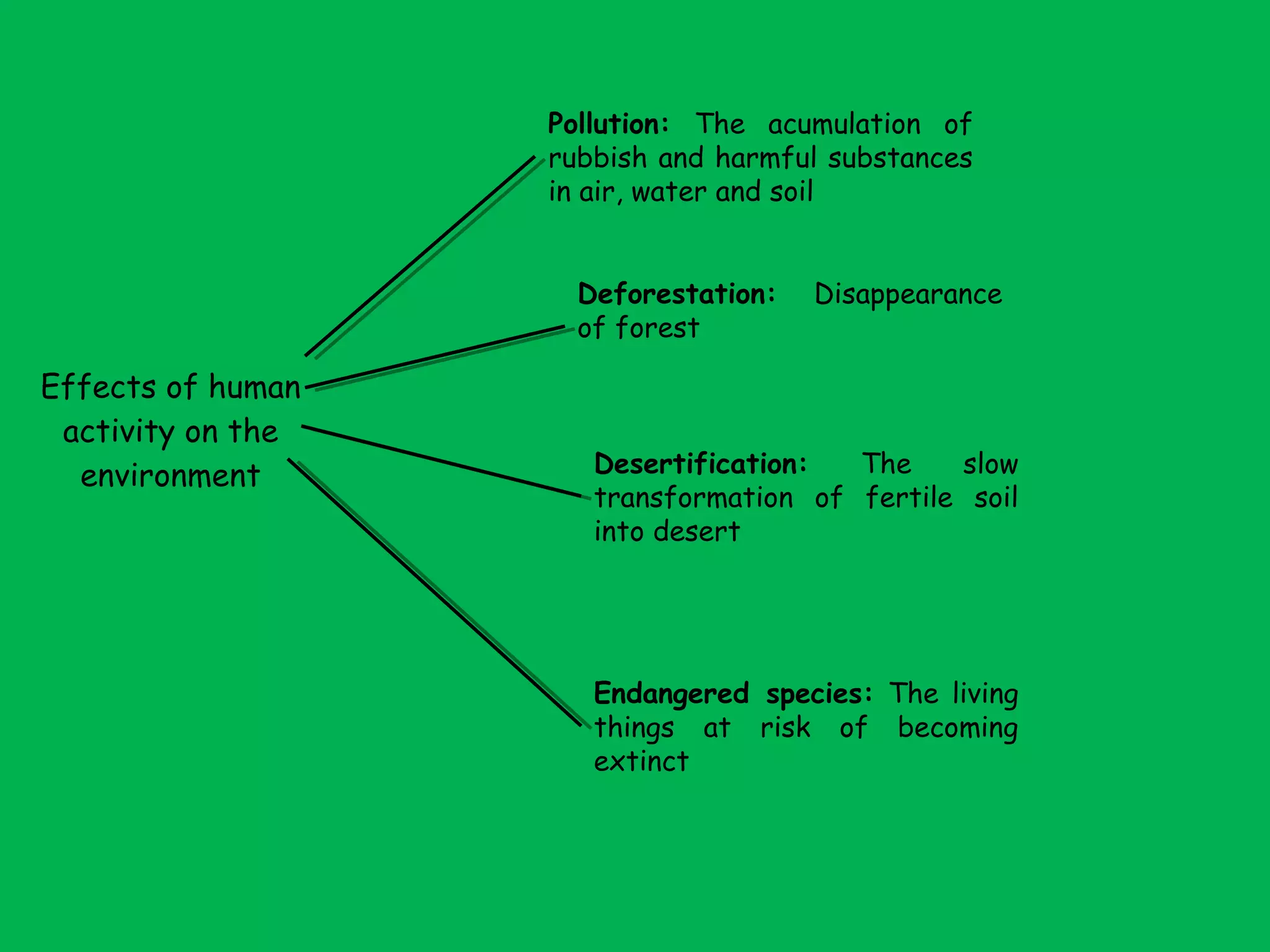Effects of human
activity on the
environment
Pollution: The acumulation of
rubbish and harmful substances
in air, water and soil
Deforestation: Disappearance
of forest
Desertification: The slow
transformation of fertile soil
into desert
Endangered species: The living
things at risk of becoming
extinct