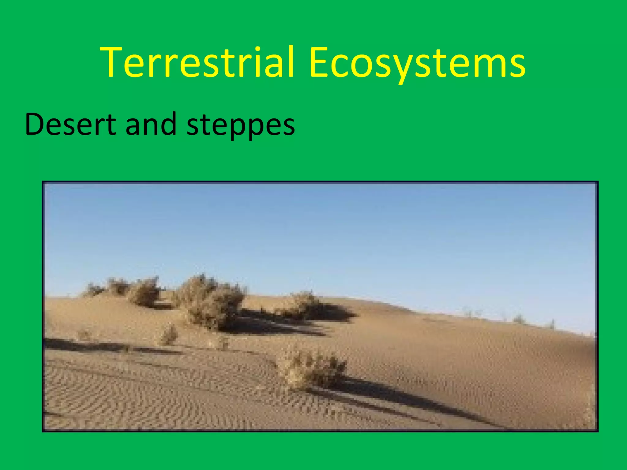 Terrestrial Ecosystems
Desert and steppes