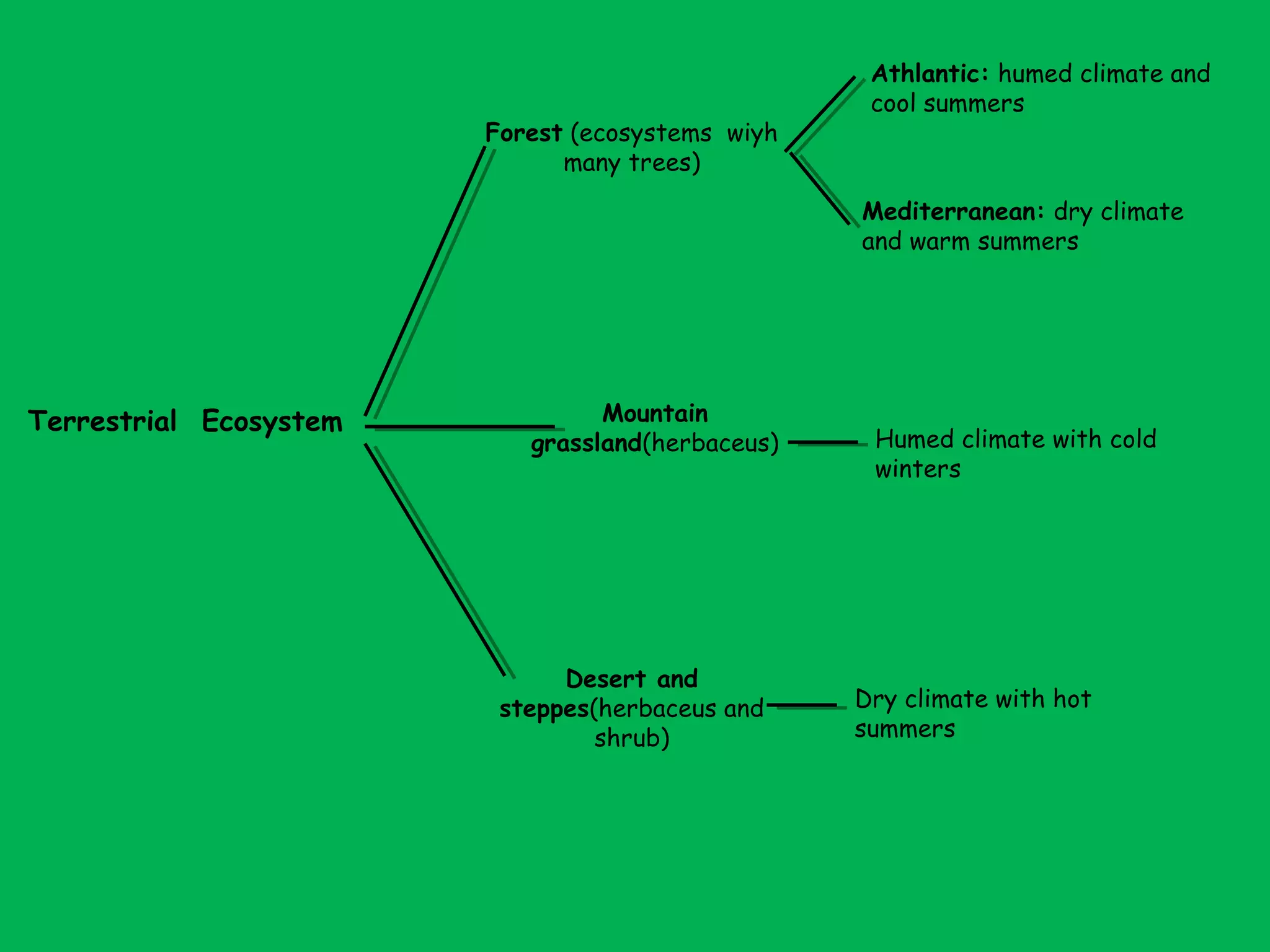 Terrestrial Ecosystem
Forest (ecosystems wiyh
many trees)
Mountain
grassland(herbaceus)
Desert and
steppes(herbaceus and
shrub)
Athlantic: humed climate and
cool summers
Mediterranean: dry climate
and warm summers
Humed climate with cold
winters
Dry climate with hot
summers