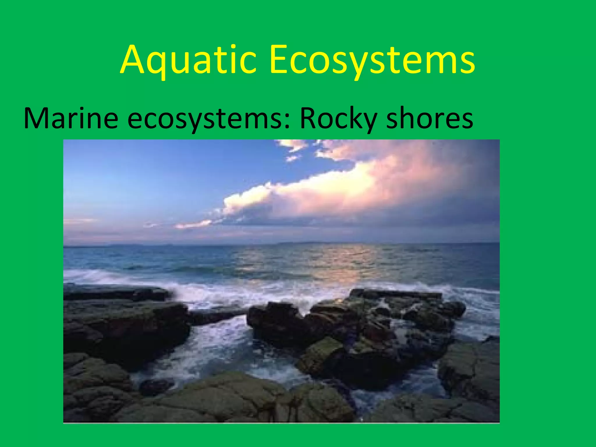 Aquatic Ecosystems
Marine ecosystems: Rocky shores