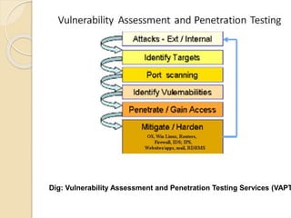 Dig: Vulnerability Assessment and Penetration Testing Services (VAPT
 
