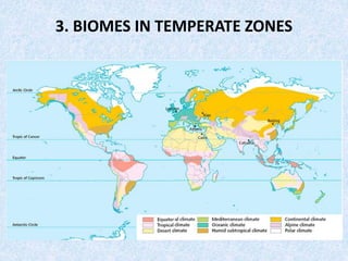 3. BIOMES IN TEMPERATE ZONES
 
