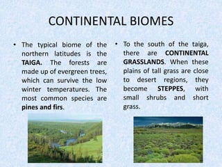 CONTINENTAL BIOMES
• The typical biome of the
northern latitudes is the
TAIGA. The forests are
made up of evergreen trees,
which can survive the low
winter temperatures. The
most common species are
pines and firs.
• To the south of the taiga,
there are CONTINENTAL
GRASSLANDS. When these
plains of tall grass are close
to desert regions, they
become STEPPES, with
small shrubs and short
grass.
 