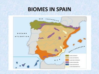 BIOMES IN SPAIN
 
