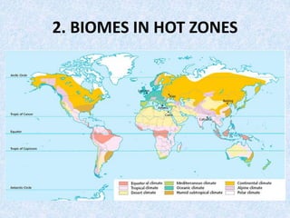 2. BIOMES IN HOT ZONES
 