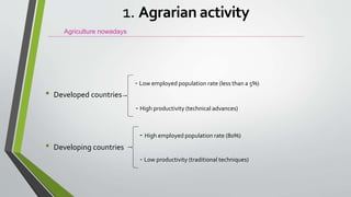 - Low employed population rate (less than a 5%)
• Developed countries
- High productivity (technical advances)
- High employed population rate (80%)
• Developing countries
- Low productivity (traditional techniques)
Agriculture nowadays
1. Agrarian activity
 