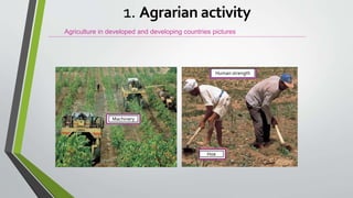 Agriculture in developed and developing countries pictures
1. Agrarian activity
Machinery
Human strength
Hoe
 