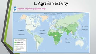 Agrarian employed population map
1. Agrarian activity
 