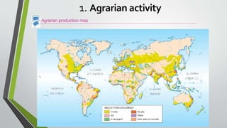 Agrarian production map
1. Agrarian activity
 