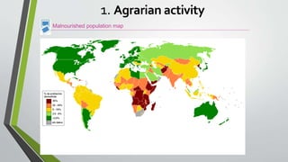Malnourished population map
1. Agrarian activity
 