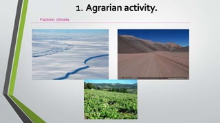 Factors: climate
1. Agrarian activity.
 