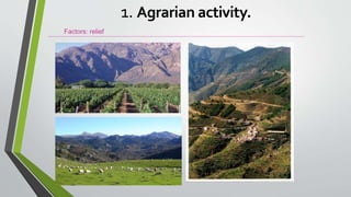 Factors: relief
1. Agrarian activity.
 