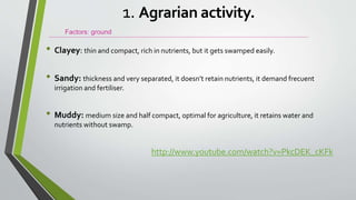 • Clayey: thin and compact, rich in nutrients, but it gets swamped easily.
• Sandy: thickness and very separated, it doesn’t retain nutrients, it demand frecuent
irrigation and fertiliser.
• Muddy: medium size and half compact, optimal for agriculture, it retains water and
nutrients without swamp.
http://www.youtube.com/watch?v=PkcDEK_cKFk
Factors: ground
1. Agrarian activity.
 