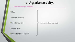 • Plots
• Plots exploitation
• Irrigation system Agrarian landscapes diversity
• Farmed crop
• Habitat and road system
Agrarian landscapes elements
1. Agrarian activity.
 