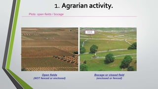 • Parcela: cada una de las partes en las que se divide el espacio agrario
Plots: open fields / bocage
Open fields
(NOT fenced or enclosed)
Bocage or closed field
(enclosed or fenced)
1. Agrarian activity.
 