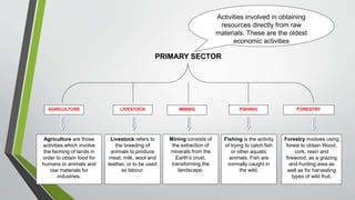 AGRICULTURE LIVESTOCK FISHING FORESTRY
Agriculture are those
activities which involve
the farming of lands in
order to obtain food for
humans or animals and
raw materials for
industries.
Livestock refers to
the breeding of
animals to produce
meat, milk, wool and
leather, or to be used
as labour.
Fishing is the activity
of trying to catch fish
or other aquatic
animals. Fish are
normally caught in
the wild.
Forestry involves using
forest to obtain Wood,
cork, resin and
firewood, as a grazing
and hunting area as
well as for harvesting
types of wild fruit.
PRIMARY SECTOR
Activities involved in obtaining
resources directly from raw
materials. These are the oldest
economic activities
MINING
Mining consists of
the extraction of
minerals from the
Earth’s crust,
transforming the
landscape.
 