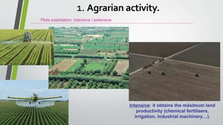 Plots explotation: intensive / extensive
Intensive: it obtains the máximum land
productivity (chemical fertilisers,
irrigation, industrial machinery…).
1. Agrarian activity.
 