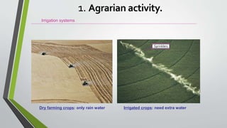 Irrigation systems
Dry farming crops: only rain water Irrigated crops: need extra water
1. Agrarian activity.
Sprinklers
 