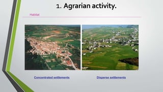 Habitat
Concentrated settlements Disperse settlements
1. Agrarian activity.
 