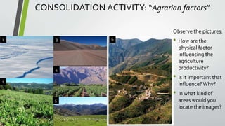 CONSOLIDATION ACTIVITY: “Agrarian factors”
Observe the pictures:
• How are the
physical factor
influencing the
agriculture
productivity?
• Is it important that
influence?Why?
• In what kind of
areas would you
locate the images?
1 3
2
4
5
6
 