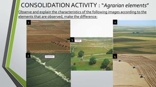 CONSOLIDATION ACTIVITY : “Agrarian elements”
Observe and explain the characteristics of the following images according to the
elements that are observed, make the difference:
1 2
3 4
5
 