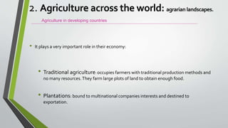 • It plays a very important role in their economy:
• Traditional agriculture: occupies farmers with traditional production methods and
no many resources.They farm large plots of land to obtain enough food.
• Plantations: bound to multinational companies interests and destined to
exportation.
Agriculture in developing countries
2. Agriculture across the world: agrarian landscapes.
 