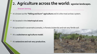 • It is known as the “felling and burn” agriculture and it is the most archaic system.
• It’s located in the intertropical zone.
• It is practised in savannahs (cereals), in forests (tubercle) and not very fertile soil.
• It’s a subsistence agriculture model.
• It’s extensive and not very productive.
Itinerant farming
2. Agriculture across the world: agrarian landscapes.
 