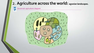 Savannah agriculture diagram
2. Agriculture across the world: agrarian landscapes.
 