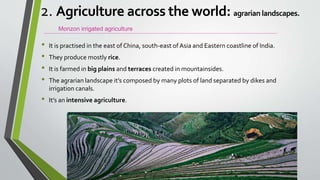 • It is practised in the east of China, south-east ofAsia and Eastern coastline of India.
• They produce mostly rice.
• It is farmed in big plains and terraces created in mountainsides.
• The agrarian landscape it’s composed by many plots of land separated by dikes and
irrigation canals.
• It’s an intensive agriculture.
Monzon irrigated agriculture
2. Agriculture across the world: agrarian landscapes.
 