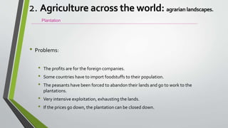 • Problems:
• The profits are for the foreign companies.
• Some countries have to import foodstuffs to their population.
• The peasants have been forced to abandon their lands and go to work to the
plantations.
• Very intensive exploitation, exhausting the lands.
• If the prices go down, the plantation can be closed down.
Plantation
2. Agriculture across the world: agrarian landscapes.
 