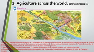 Plantations
1. Sabanas y grandes latifundios ganaderos. 2. Propiedades de los peones de los latifundios. 3. Gran plantación de caña de azúcar. 4. Terreno
agotado por la agricultura intensiva. 5. Explotaciones agrícolas medianas. 6. Centro administrativo de la plantación. 7. Pueblo. 8. Viviendas de
los campesinos pobres sin tierras. 9. Fábrica azucarera. 10. Gran hacienda ganadera.
11. Parcelas cercadas con pastos mejorados. 12. Terreno empobrecido por el pastoreo excesivo. 13. Plantación de café.
14. Cultivos de los campesinos pobres en suelos desgastados. 15. Casas de los trabajadores de la plantación de café. 16. Pantanos y
ciénagas.
2. Agriculture across the world: agrarian landscapes.
 