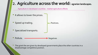 • It allows to lower the prices.
• Speed up trading. Positives.
• Specialized transports.
• Pollute. Negatives
• The grant the are given by developed governments place the other countries in a
disadvantage competitive position.
Agriculture in developed countries : market agriculture effects
2. Agriculture across the world: agrarian landscapes.
 