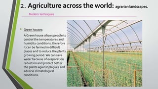 • Green houses:
A Green house allows people to
control the temperatures and
humidity conditions, therefore
it can be farmed in difficult
places and to reduce the plants
growing period.We can save
water because of evaporation
reduction and protect better
the plants against plagues and
adverse climatological
conditions.
Modern techniques
2. Agriculture across the world: agrarian landscapes.
 