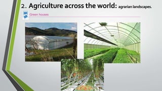 Green houses
2. Agriculture across the world: agrarian landscapes.
 