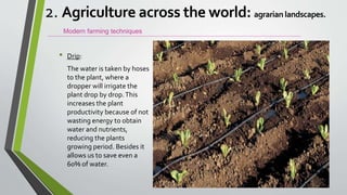 • Drip:
The water is taken by hoses
to the plant, where a
dropper will irrigate the
plant drop by drop.This
increases the plant
productivity because of not
wasting energy to obtain
water and nutrients,
reducing the plants
growing period. Besides it
allows us to save even a
60% of water.
Modern farming techniques
2. Agriculture across the world: agrarian landscapes.
 