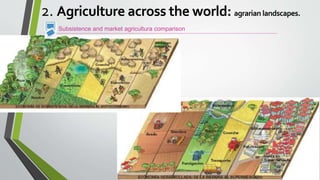 Subsistence and market agricultura comparison
2. Agriculture across the world: agrarian landscapes.
 