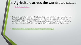 • Ecological agriculture can be defined very simply as a combination, in agriculture and
livestock, of techniques that rule out the use of chemical products like fertilisers,
pesticidals, antibiotics, etc., with the purpose of preserving the natural environment,
mantein or increase soil fertility and to provide food with all its natural properties.
• https://ec.europa.eu/agriculture/organic/organic-farming_es
Ecological agriculture.
2. Agriculture across the world: agrarian landscapes.
 