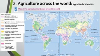 Map of the agricultural land uses around the world
2. Agriculture across the world: agrarian landscapes.
 