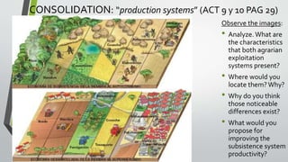 CONSOLIDATION: “production systems” (ACT 9 y 10 PAG 29)
Observe the images:
• Analyze.What are
the characteristics
that both agrarian
exploitation
systems present?
• Where would you
locate them?Why?
• Why do you think
those noticeable
differences exist?
• What would you
propose for
improving the
subsistence system
productivity?
 