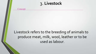 Livestock refers to the breeding of animals to
produce meat, milk, wool, leather or to be
used as labour.
Concept
3. Livestock
 