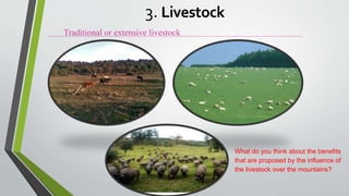 Traditional or extensive livestock
3. Livestock
What do you think about the benefits
that are proposed by the influence of
the livestock over the mountains?
 